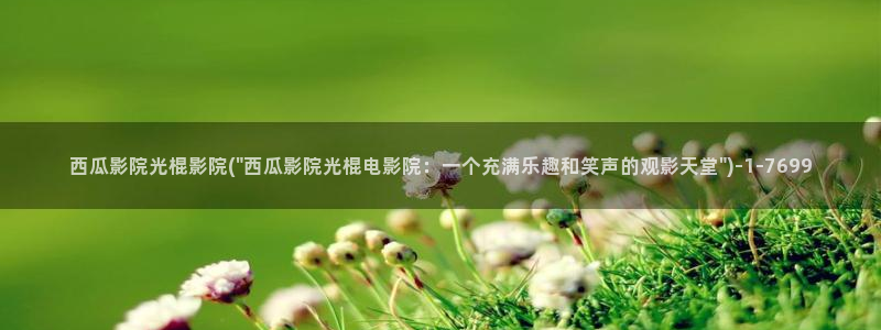 西瓜影院免费看电影