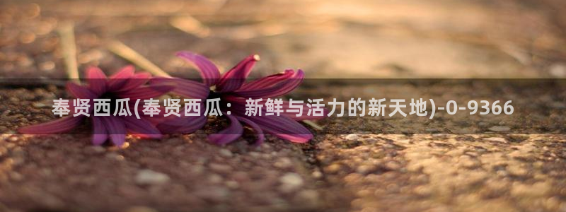 妈妈的朋友西瓜影院