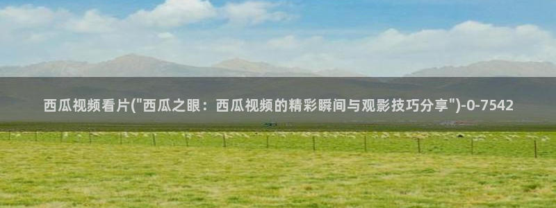 西瓜视频在线播放