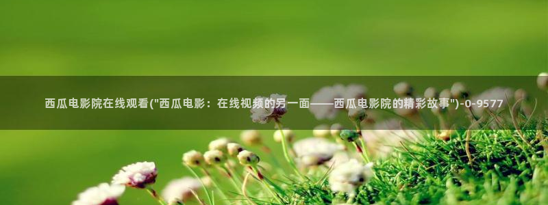 韩国电影办公室3西瓜