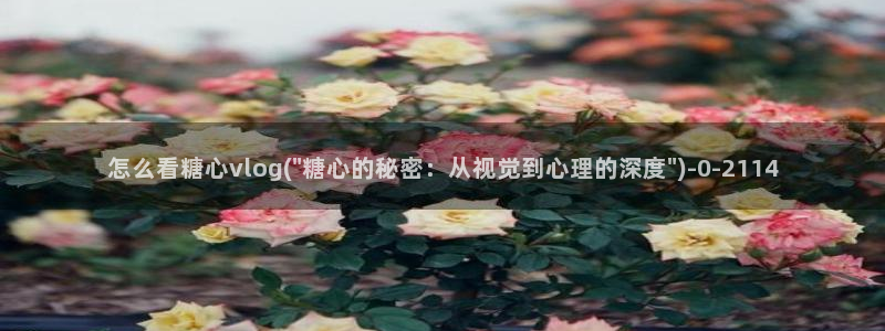 心糖vlog原创：怎么看糖心vlog(\