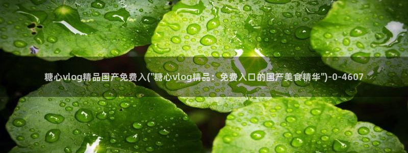 糖心vlog】：糖心vlog精品国产免费入(\
