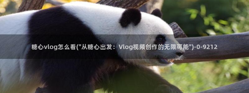 www.糖心vlog.：糖心vlog怎么看(\