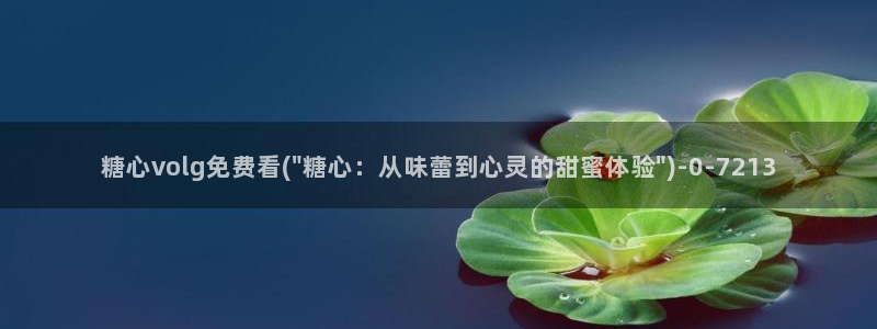 糖心vlog破解版在线：糖心volg免费看(\