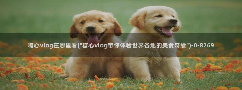 糖心少女vlog免费桐桐的生日：糖心vlog在哪里看(\