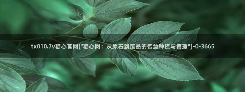 糖心vlog 冉冉学姐：tx010.7v糖心官网