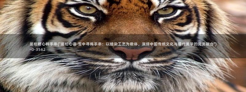糖心vlog视频在线播放观看：崖柏糖心料手串(\