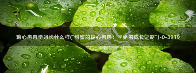 糖心vlog网页：糖心冉冉学姐长什么样(\