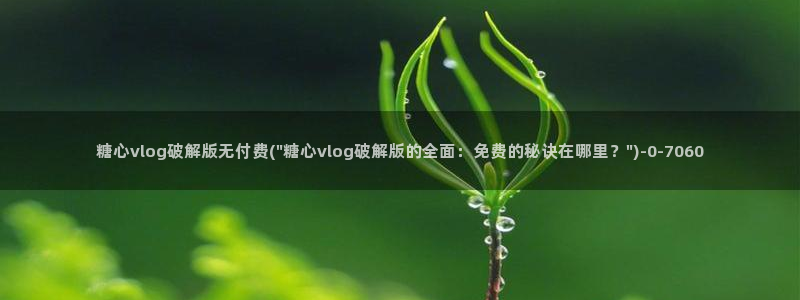 糖心vlog唐伯虎网站